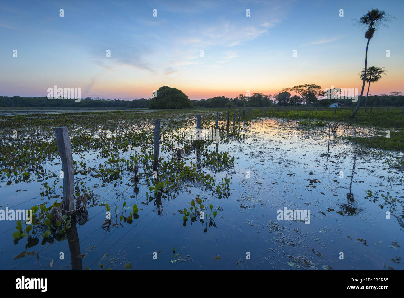 Entardecer Em Fazenda keine Pantanal com Paisagem Alagada Stockfoto