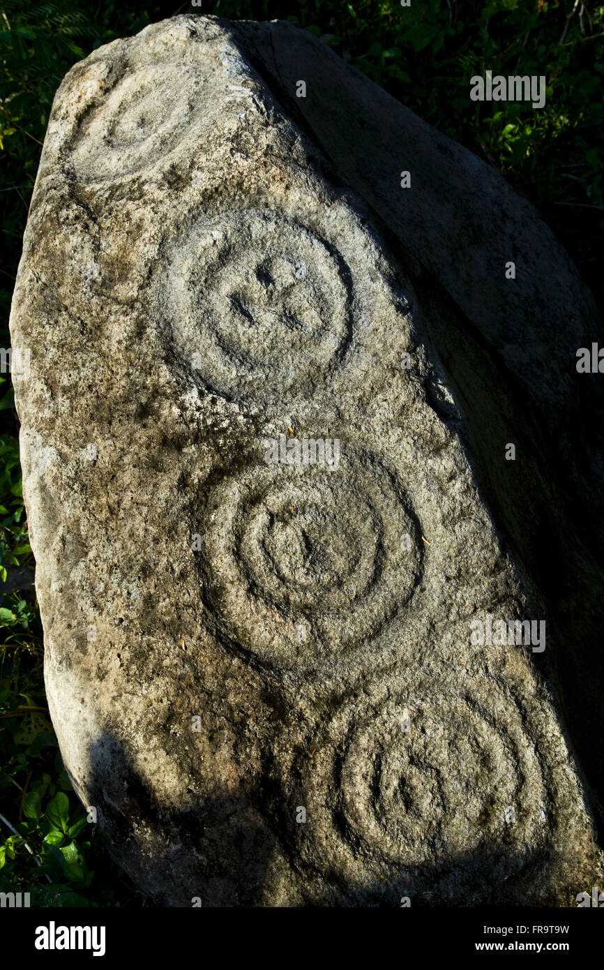 Ausgrabungsstätte La Piedra Hochstapler - Reihe von Felsen mit Petroglyphen Stockfoto