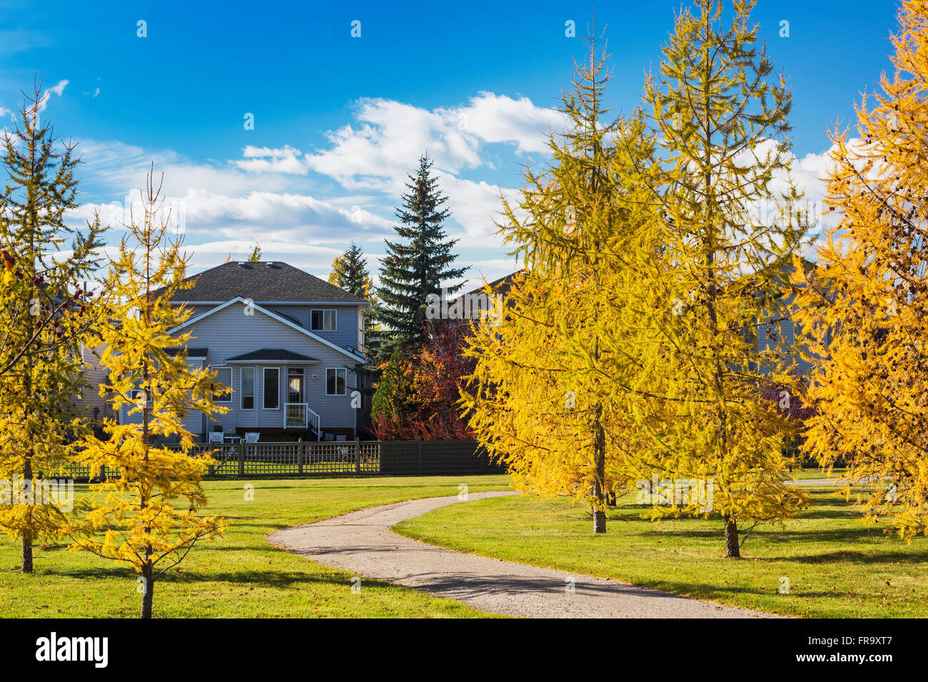 Bunte Bäume im Herbst in einen Quartierpark mit Weg von Häusern und blauen Himmel und Wolken umgeben; Calgary, AB, CA Stockfoto