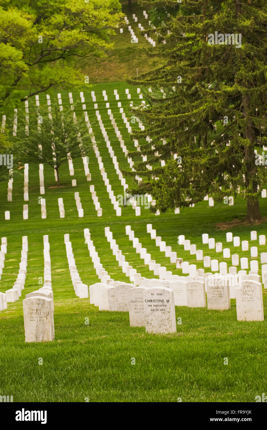 Reihen der Grabsteine auf dem Arlington National Cemetery; Arlington, Virginia, Vereinigte Staaten von Amerika Stockfoto