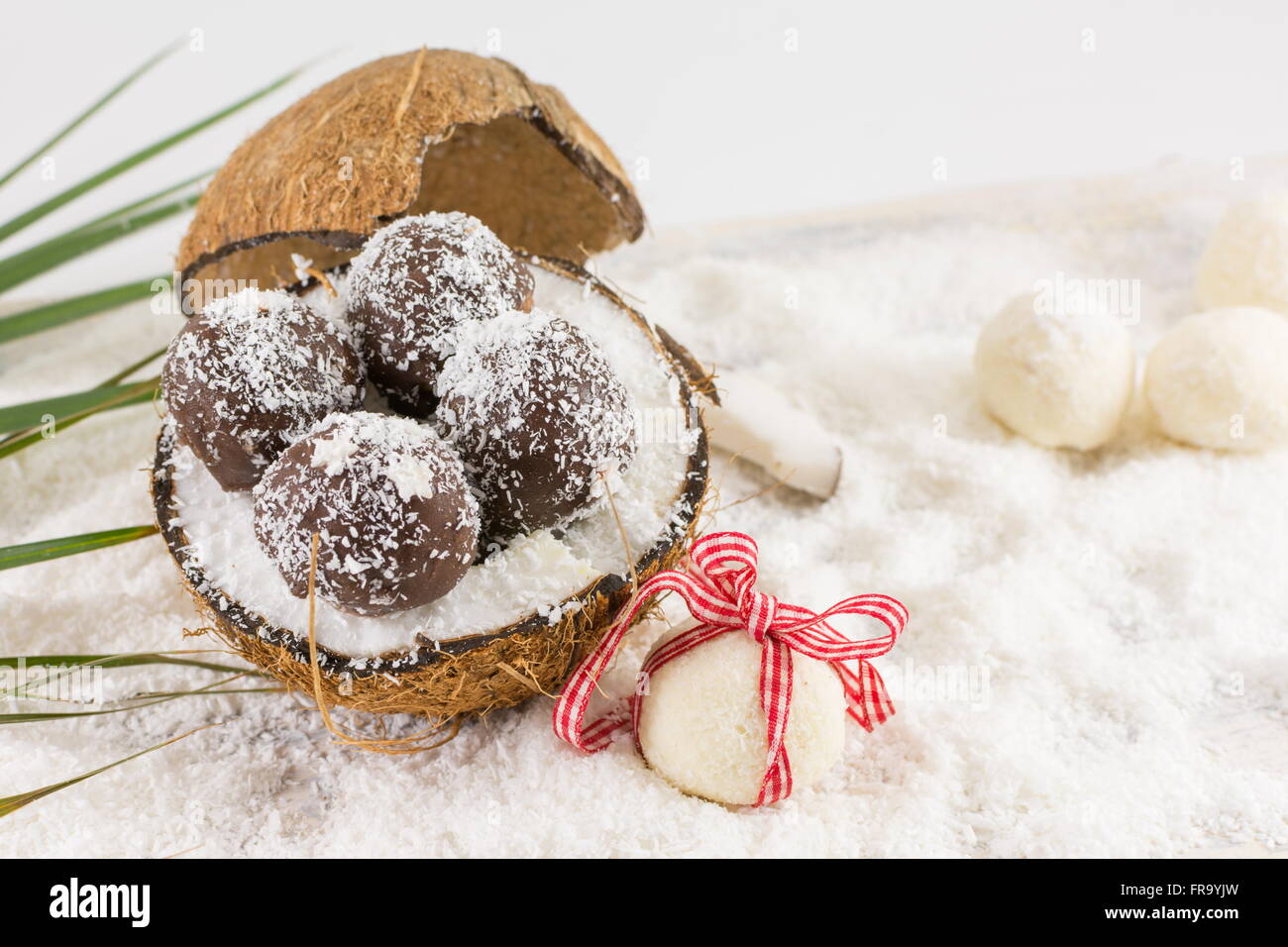 Frische Kokosnuss und hausgemachtes Kokosnuss-Cookies auf geerdeten Kokosnuss Stockfoto