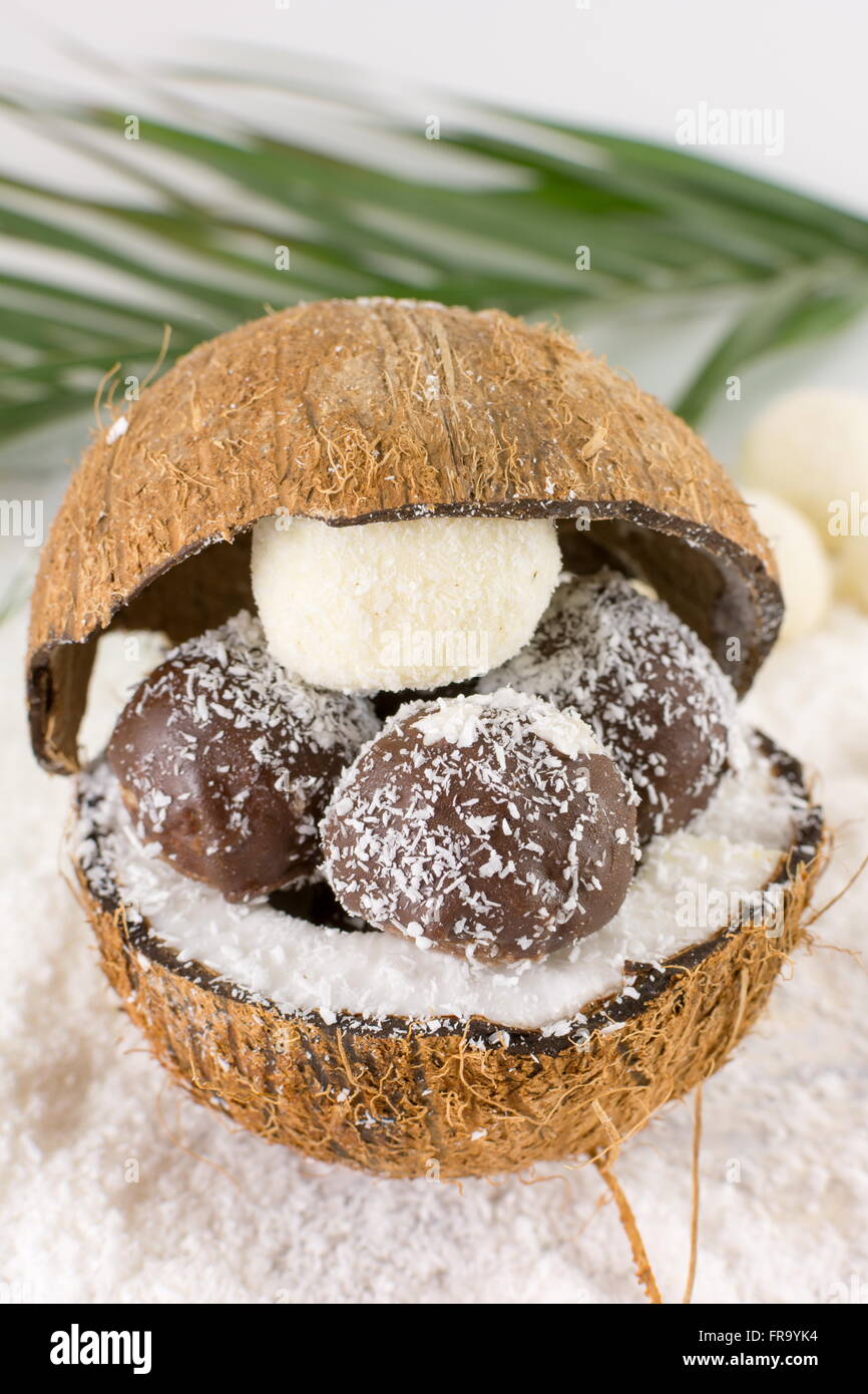 Frische Kokosnuss und hausgemachtes Kokosnuss-Cookies auf geerdeten Kokosnuss Stockfoto