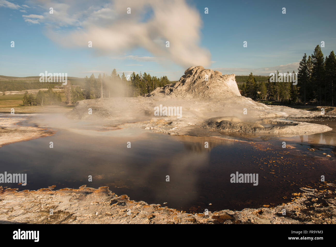 Dampf steigt aus dem Steamboat-Geysir im Yellowstone-Nationalpark; Wyoming, Vereinigte Staaten von Amerika Stockfoto