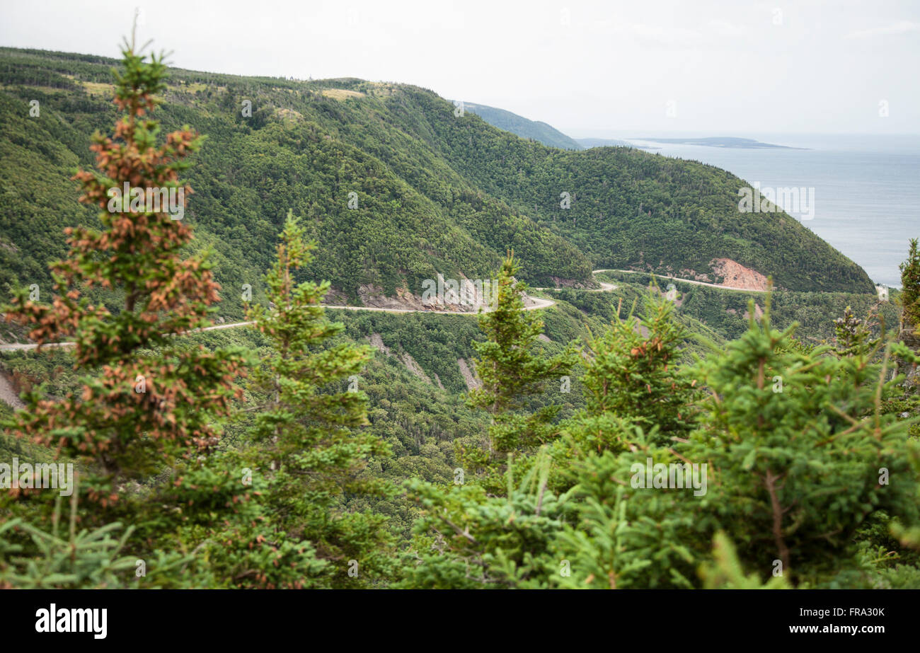 Der Cabot Trail ist eine Autobahn und malerischen Fahrbahn in der kanadischen Provinz Nova Scotia. Es befindet sich in nördlichen Victoria Coun Stockfoto