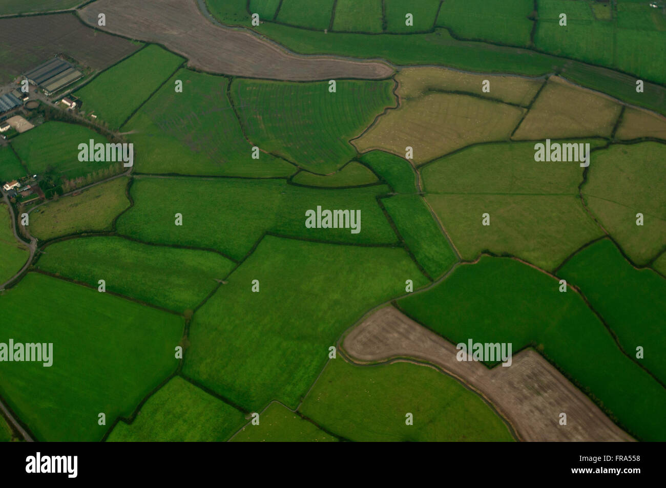 Das filigrane Muster von Patches in Devon Landschaft - UK Stockfoto