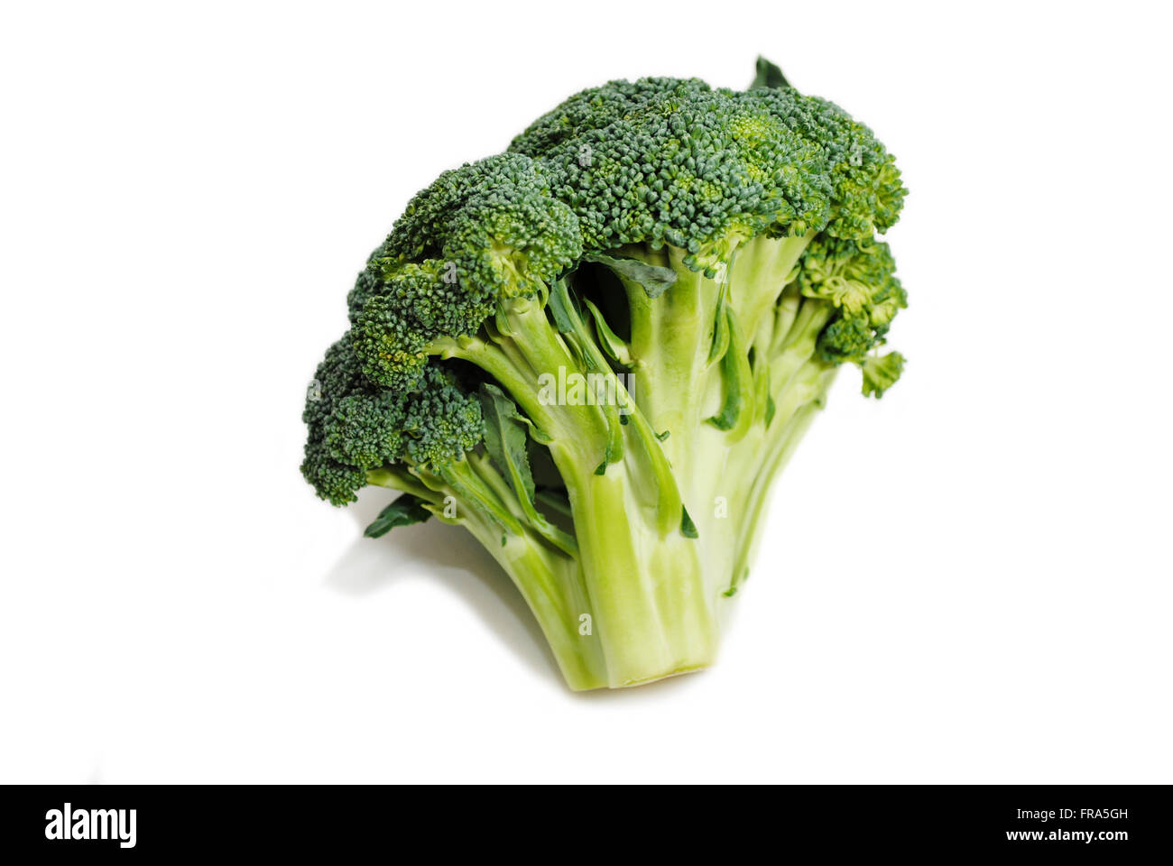 Reife Bio Broccoli Krone, Isolated on White Stockfoto