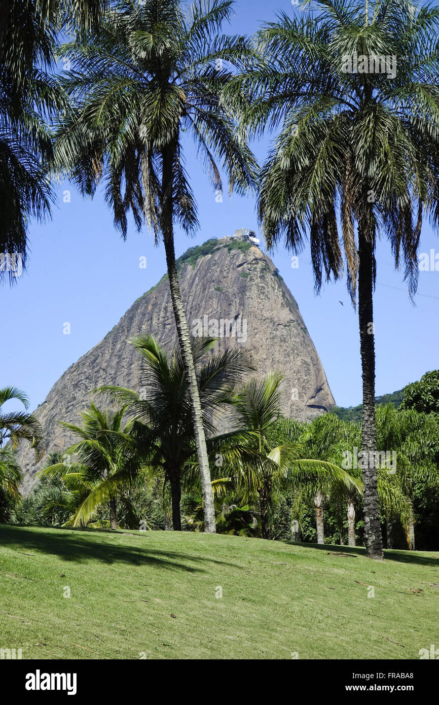 Flamengo mit Gärten von Burle Marx und Morro Pao de Acucar Nebenkosten Stockfoto