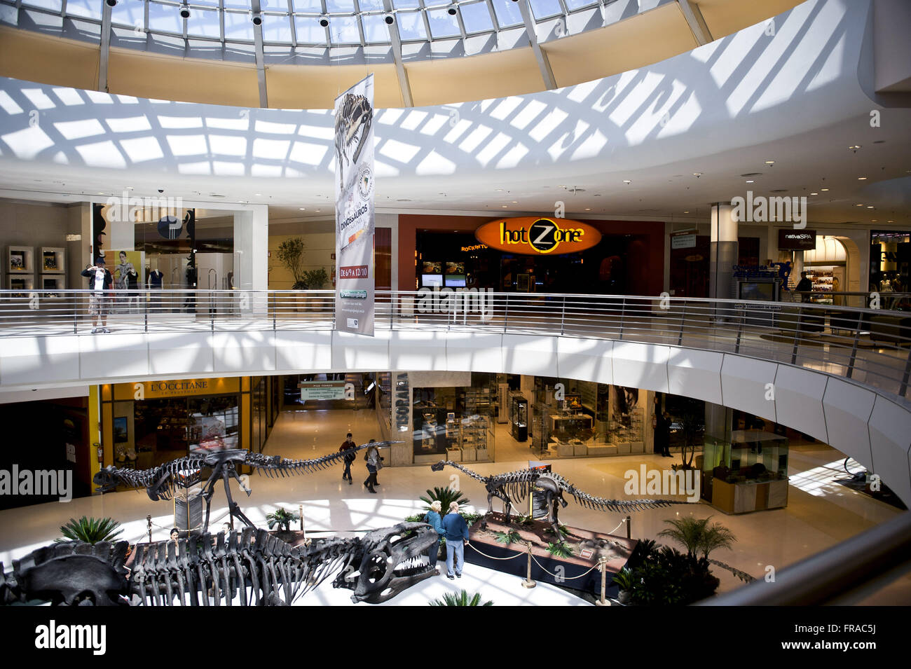 Ausstellung von Fossilien von Dinosauriern in Patagonien Einkaufszentrum der Stadt Stockfoto