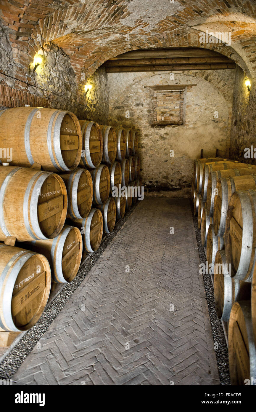 Il Mosnel Weingut in der Region Lombardei - Norditalien Stockfoto
