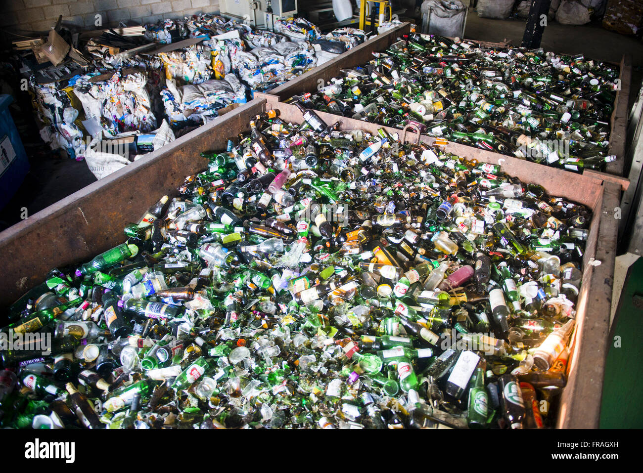 Container mit Glas für das recycling in der Sortierung und recycling-Anlage Stockfoto