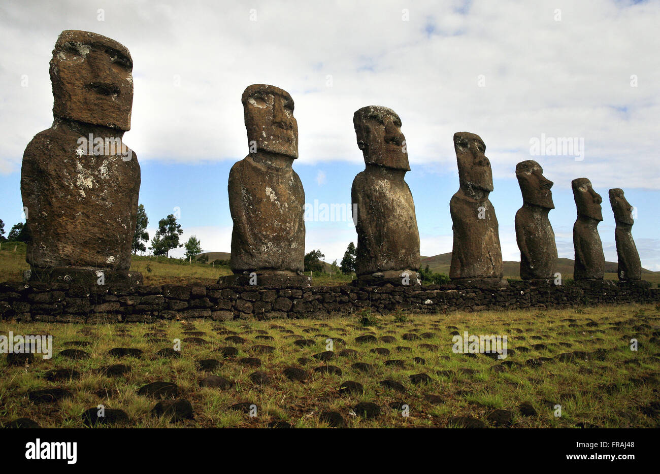 Moais am Ahu Akivi Sektor - Nationalpark Rapa Nui auf der Osterinsel Stockfoto