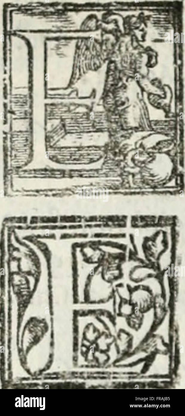Geneologia de Gli dei - ich Qvin Deci Libri (1547) Stockfoto