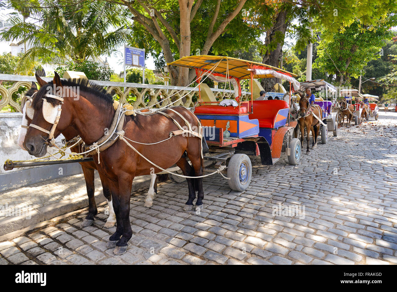 Wagen für Touristen fahren in der Nachbarschaft Paqueta - Insel Paqueta Stockfoto
