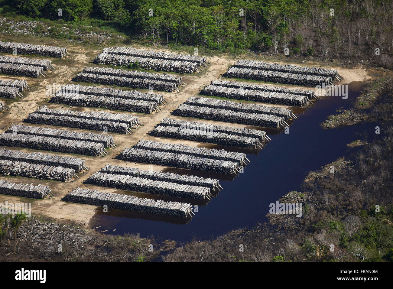 Kaution in Höhe von geschnittene Baumstämme der überschwemmten Wald Stockfoto