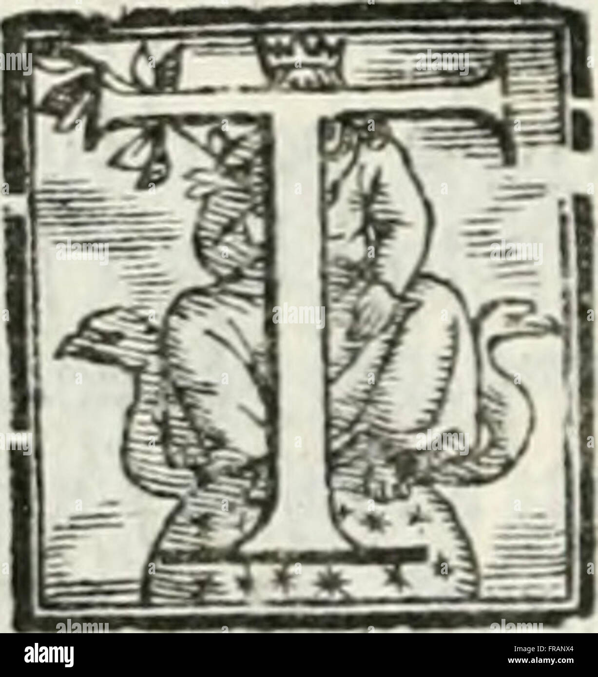 Geneologia de Gli dei - ich Qvin Deci Libri (1547) Stockfoto