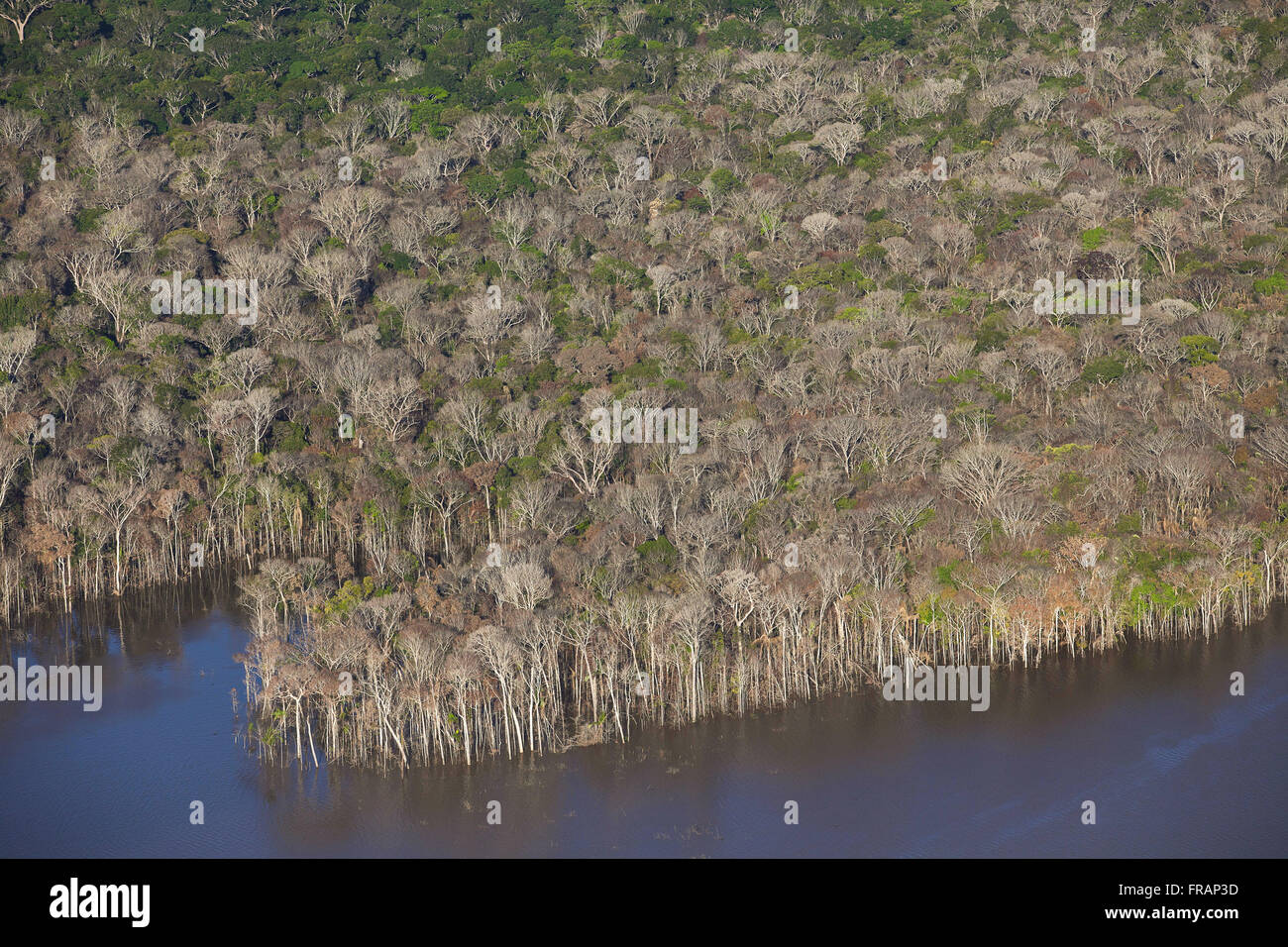 Luftaufnahme des überfluteten Amazonas-Regenwald - die Flut Wasserkraft Anlage Reservoir Jirau Stockfoto