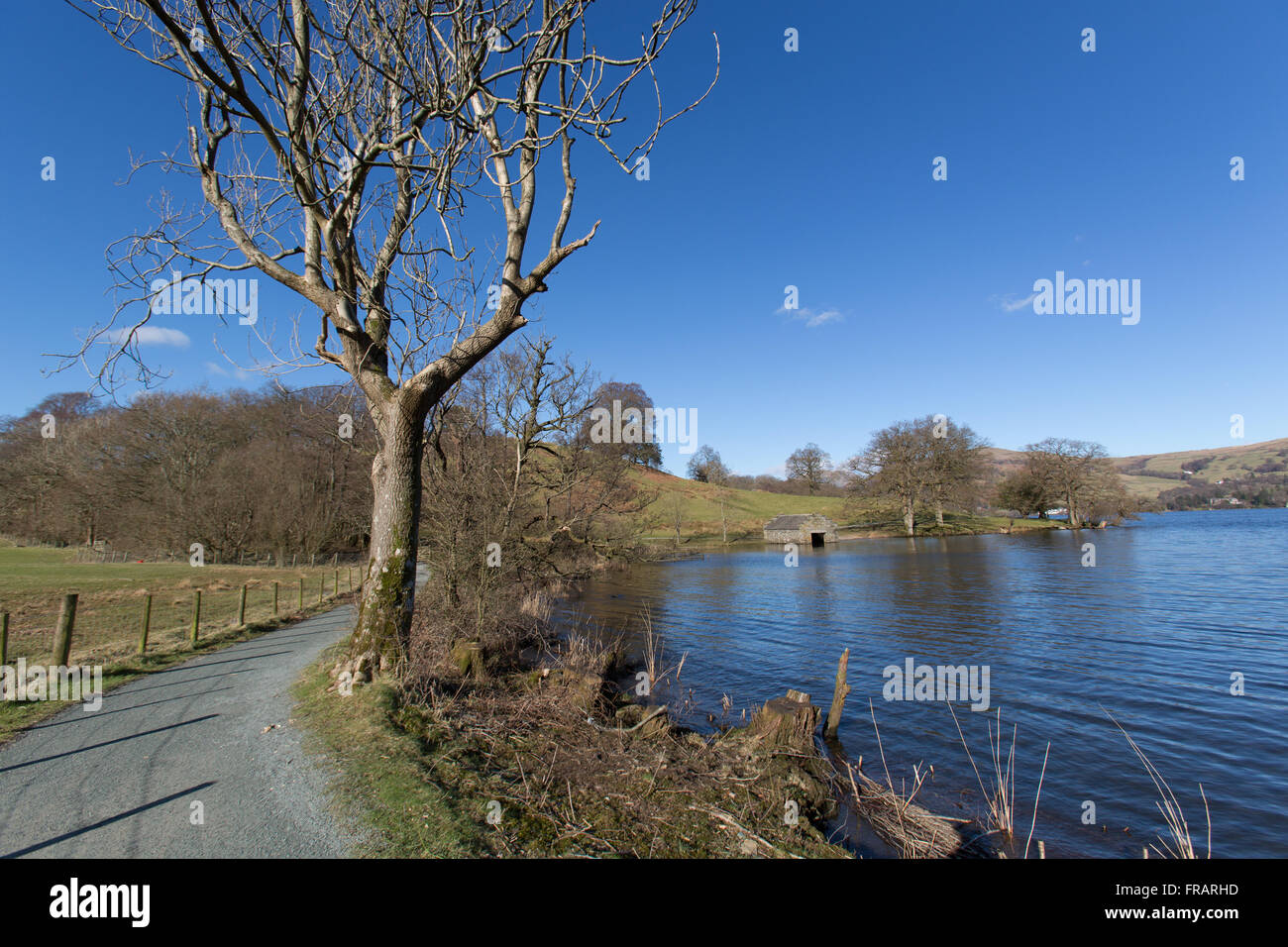 Lake Windermere, England. Der Pfad zwischen weit Sawrey und Wray Castle an der Westküste des Lake Windermere. Stockfoto