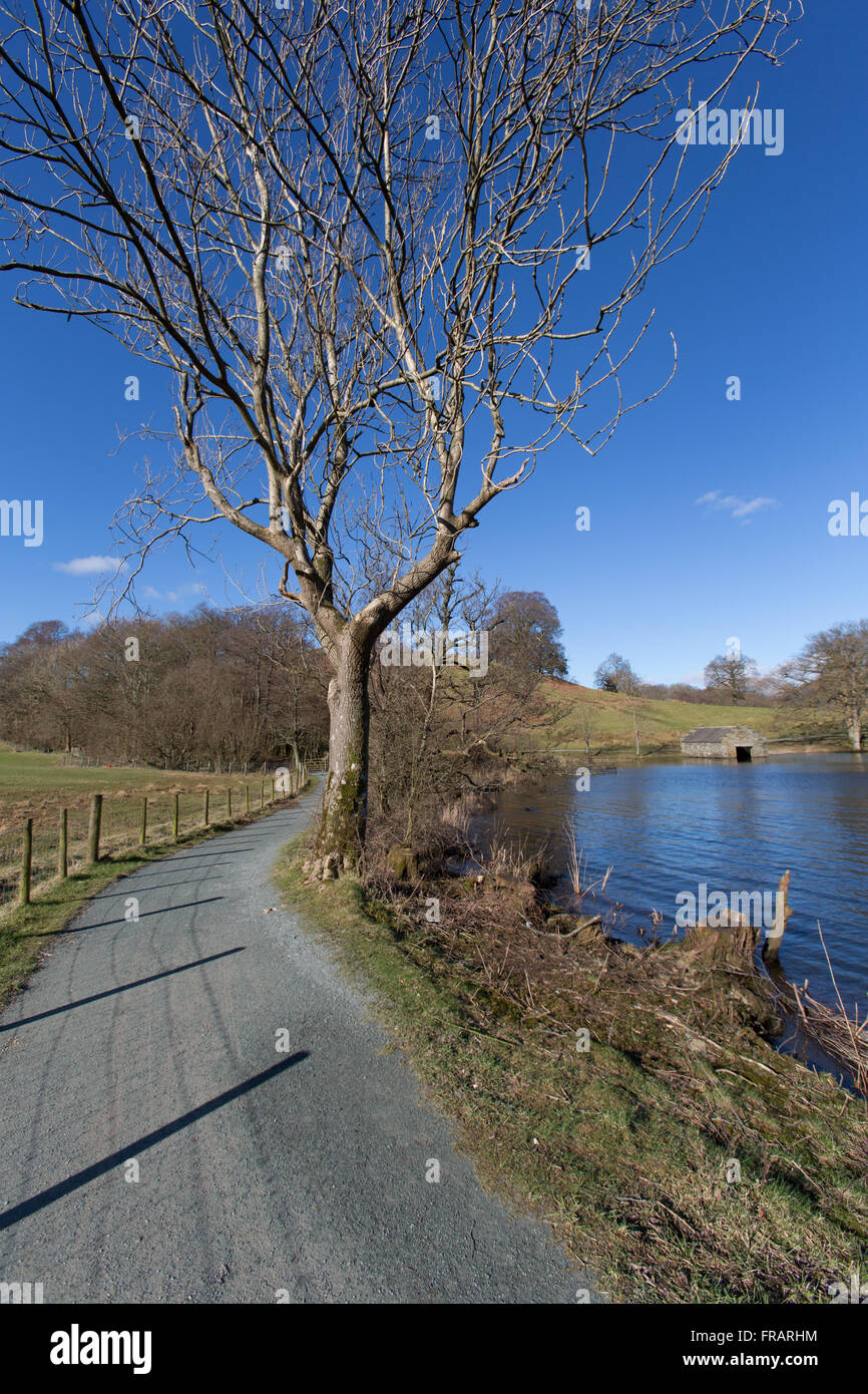 Lake Windermere, England. Der Pfad zwischen weit Sawrey und Wray Castle an der Westküste des Lake Windermere. Stockfoto