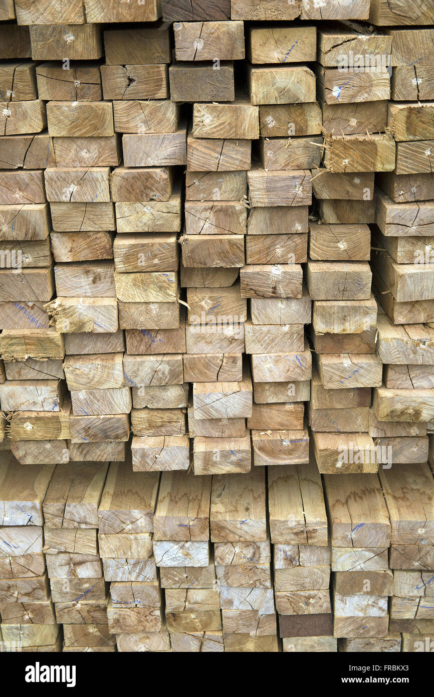 Holzverarbeitenden Industrie extrahiert pflanzte den Baum Teak Stockfoto
