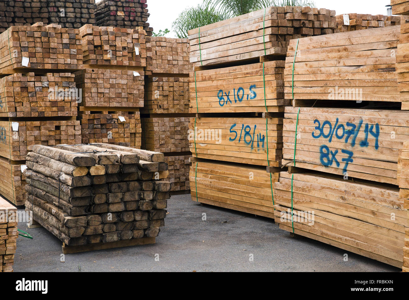 Terrasse der holzverarbeitenden Industrie extrahiert vom Baum gepflanzt Teak Stockfoto
