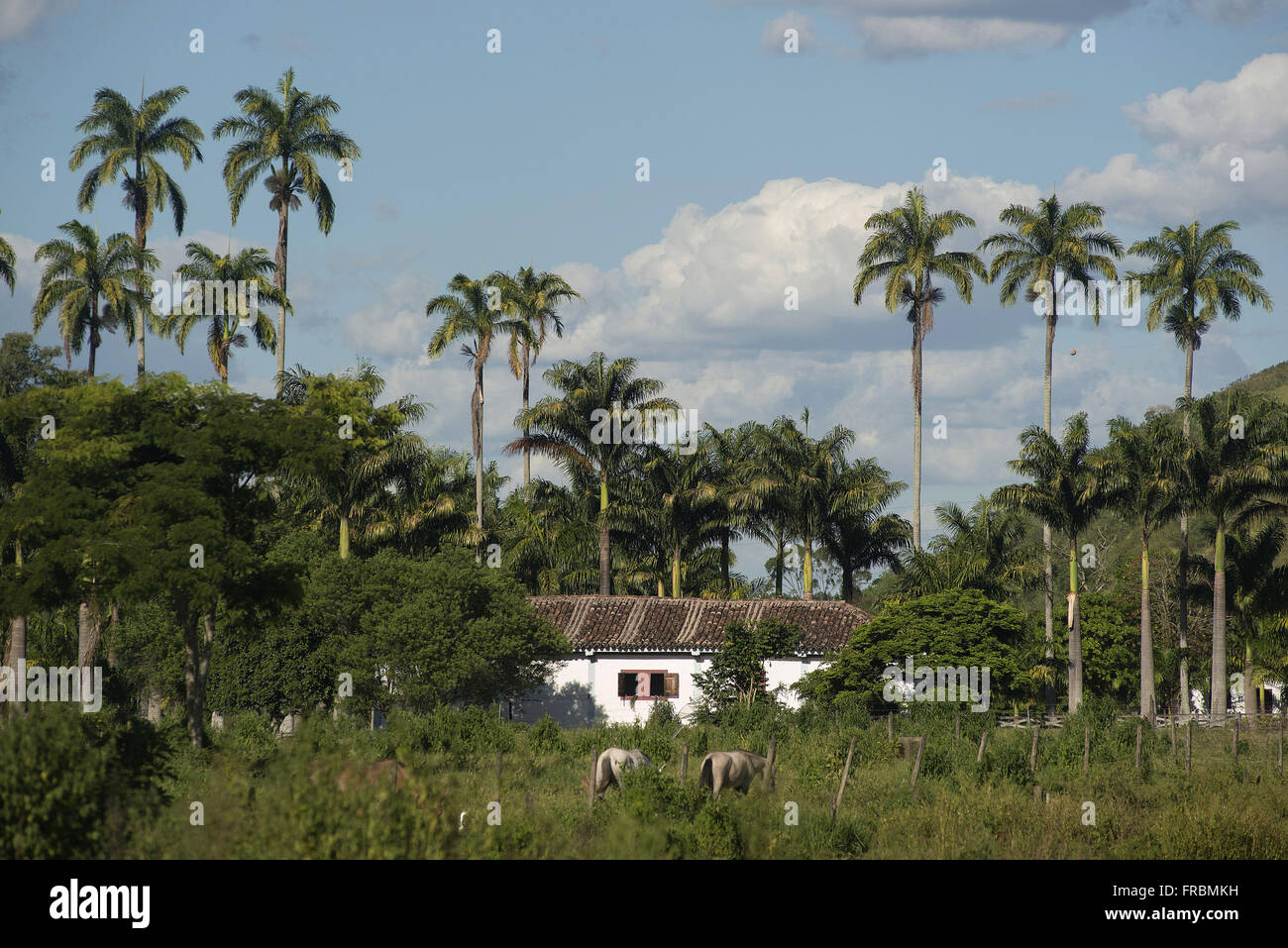 Alte Kaffee-Farm in Vale Do Rio Paraiba do Sul Stockfoto