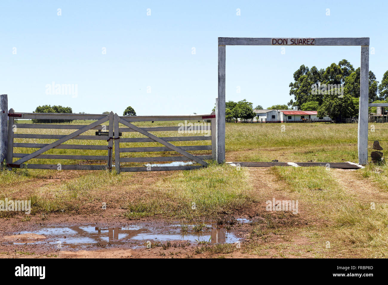 Tor und Vieh zu schützen, auf der farm Stockfoto