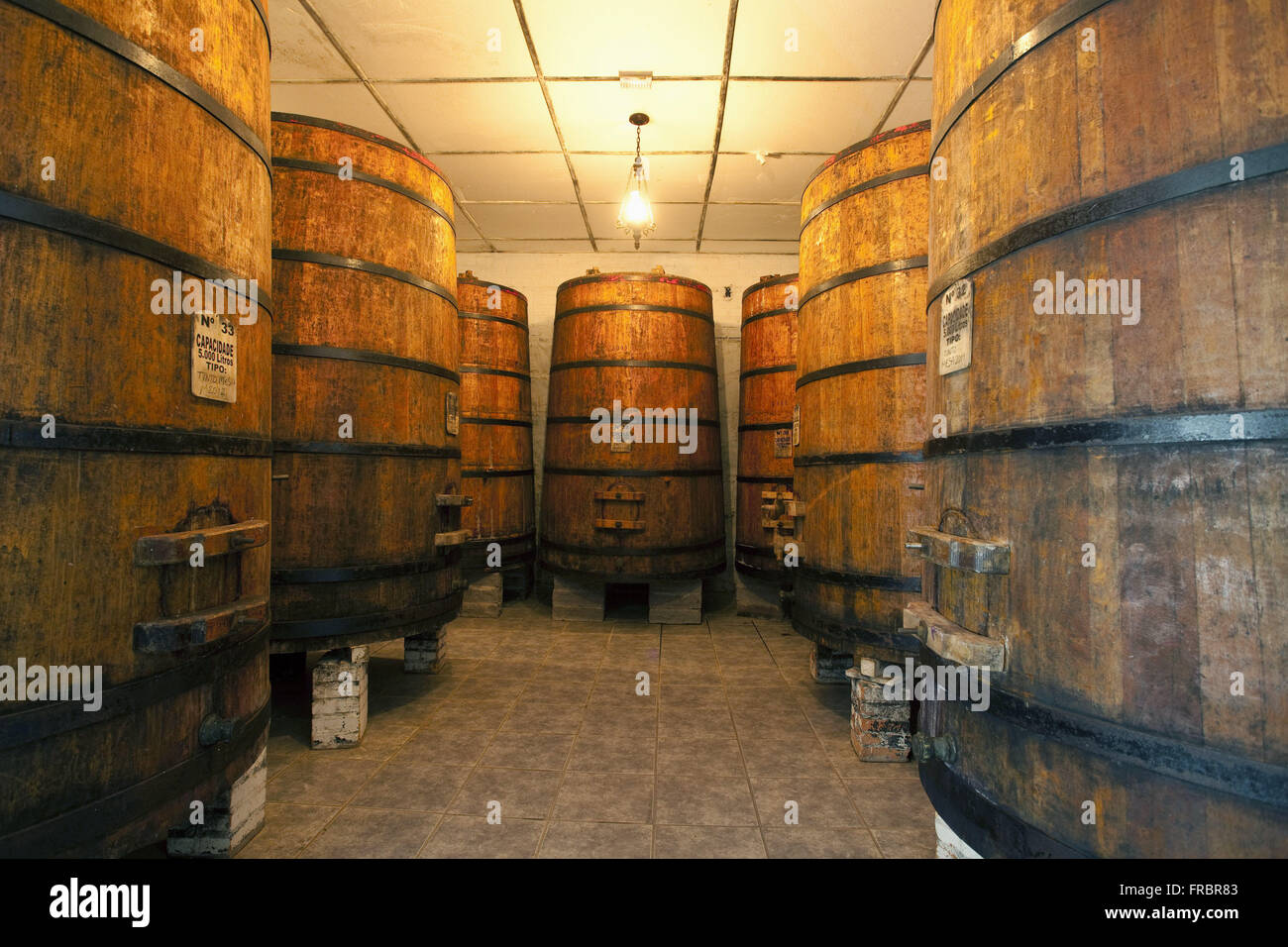 Weinfässer im Weingut Stockfoto