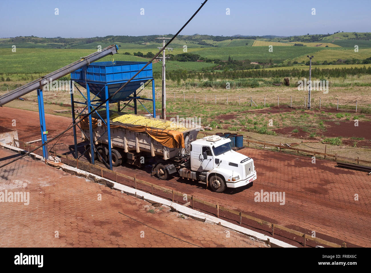 Verbringung von Abfall erzeugenden Industrie Orangensaft in LKW Stockfoto