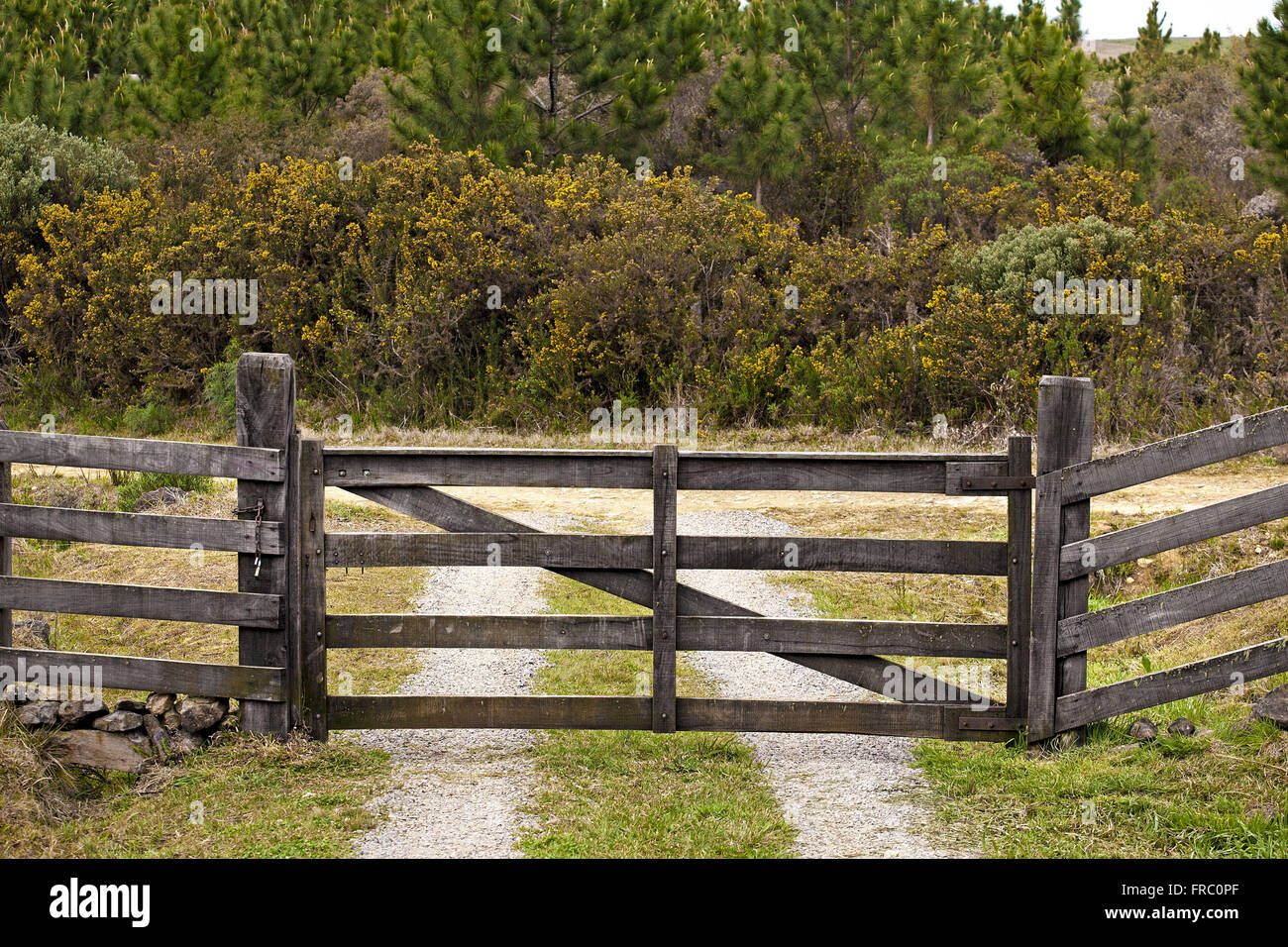 Ab-Hof - Campos de Cima da Serra Stockfoto