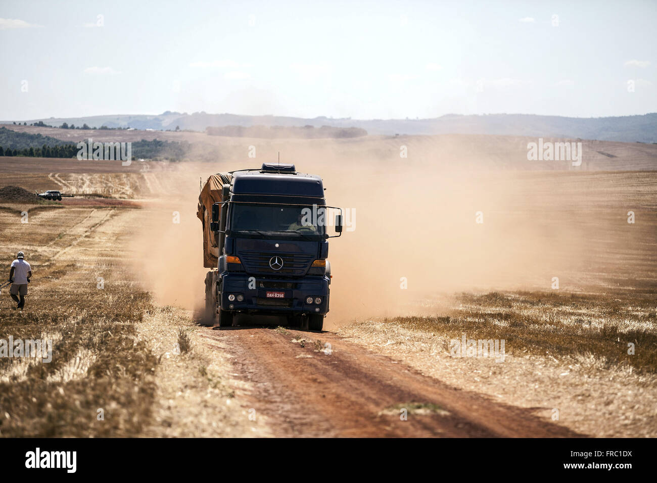 LKW mit Weizen nach der Ernte auf einem Feldweg in der Landschaft Stockfoto