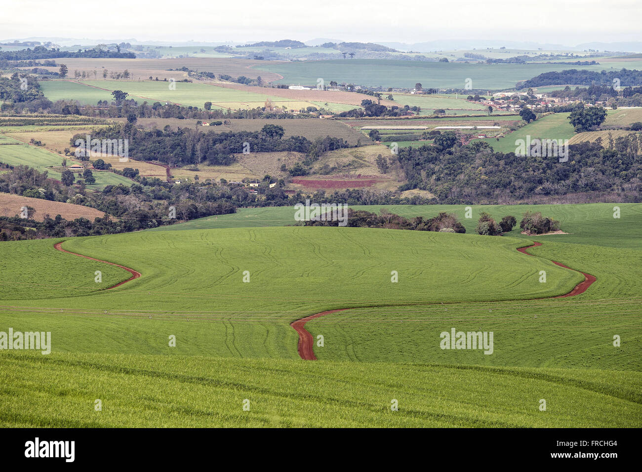 Paisagem ländlichen Na Região Norte Paraná Stockfoto