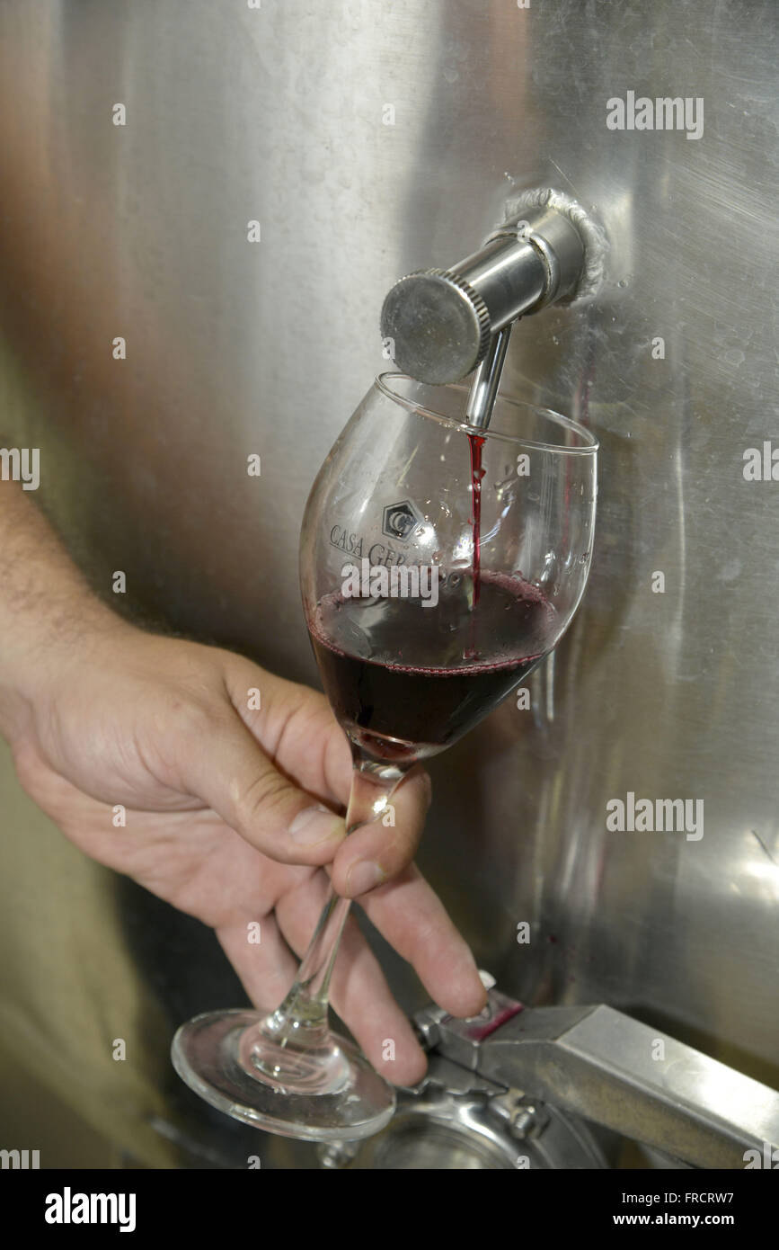 Innenansicht des Weins mit Details der Wein zur Verkostung Stockfoto