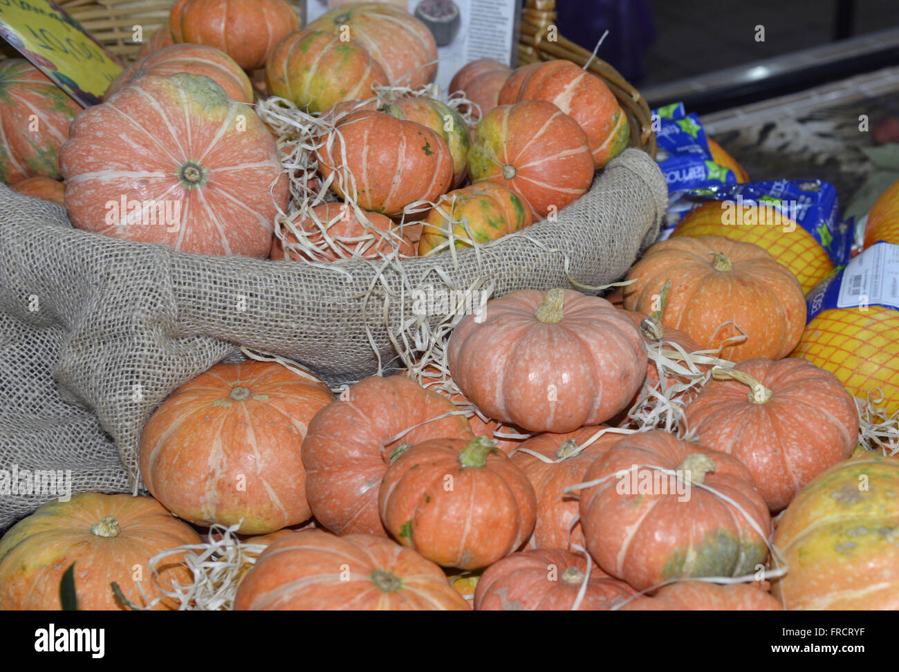 Kürbis-Kürbis und Melonen zum Verkauf im Stadtmarkt Stockfoto