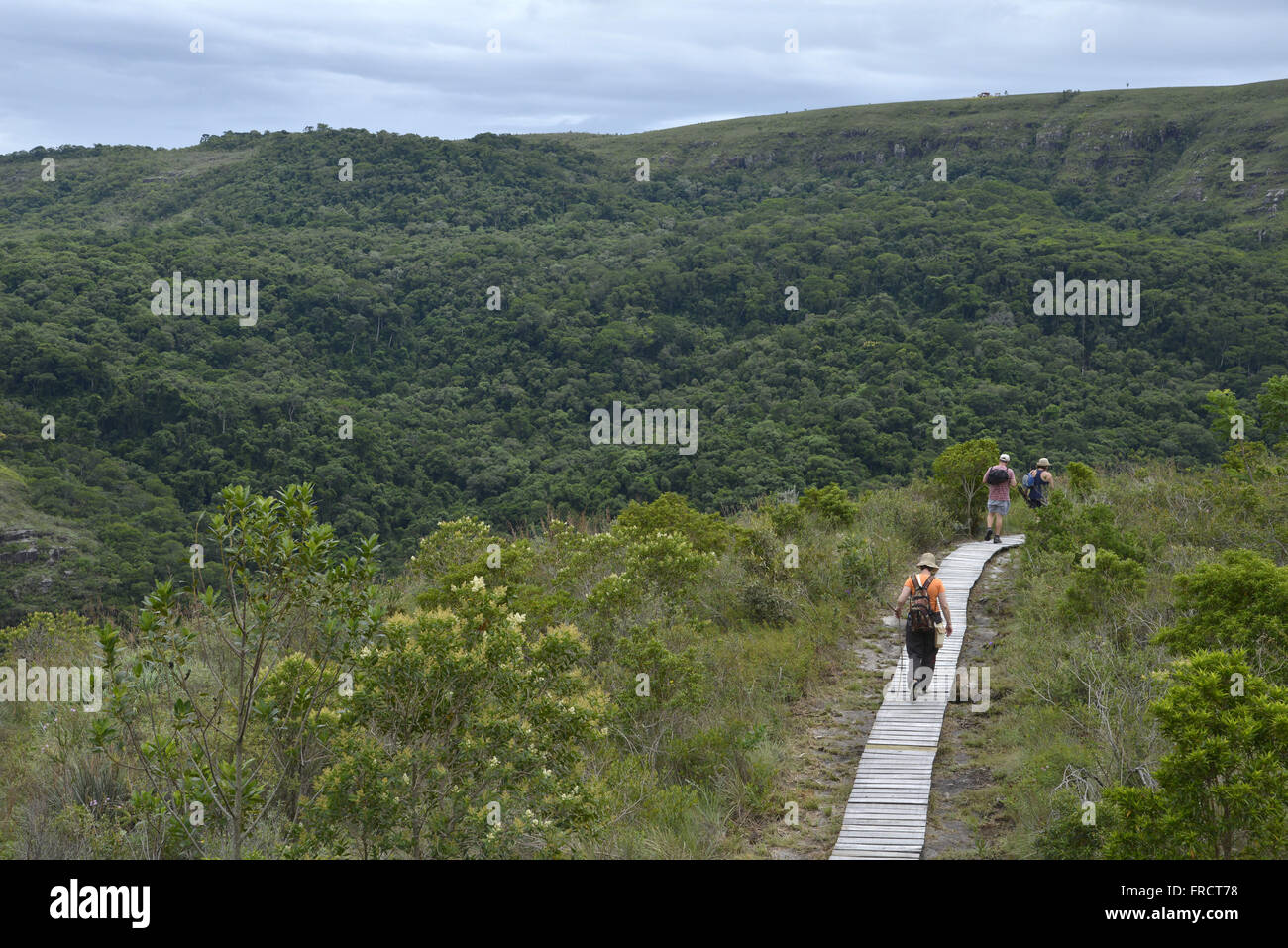 Ökotouristen planmäßig am Holzsteg in Guartelá Staatspark Stockfoto