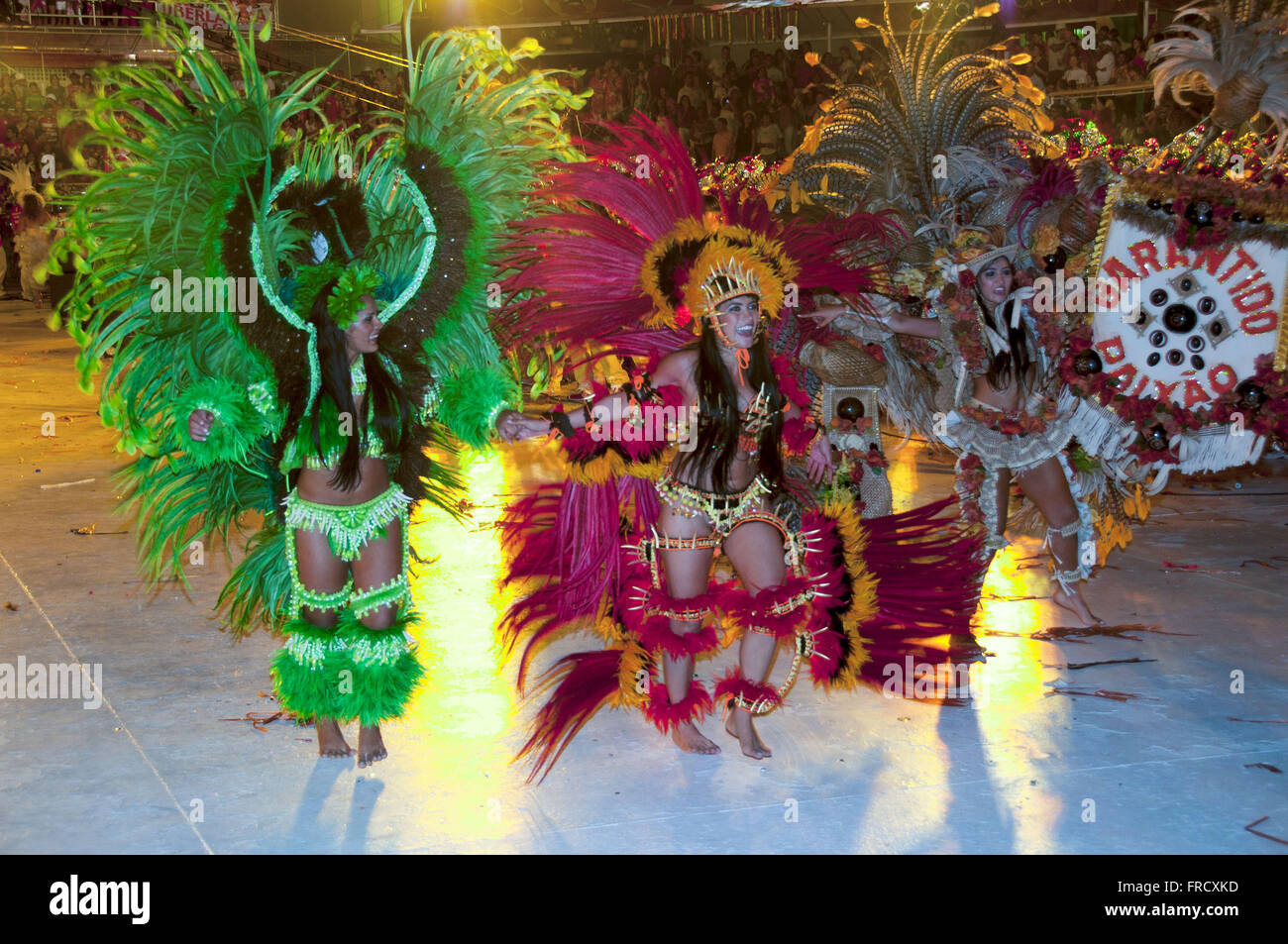 Parintins Folklore-Festival Stockfoto