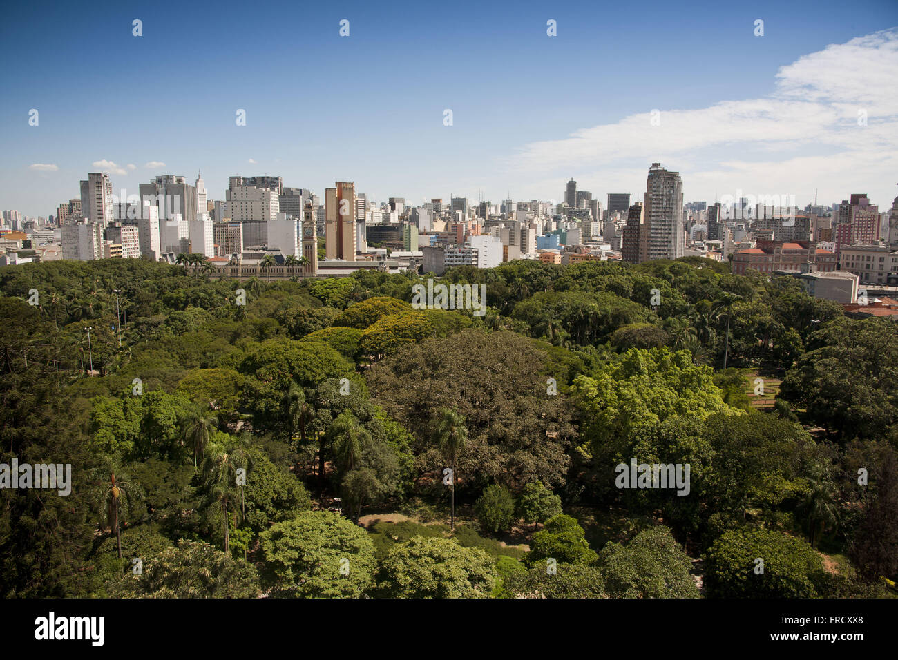 Jardim da Luz öffentliche Park der Stadt Sao Paulo befindet sich im Stadtteil Bom Retiro Stockfoto