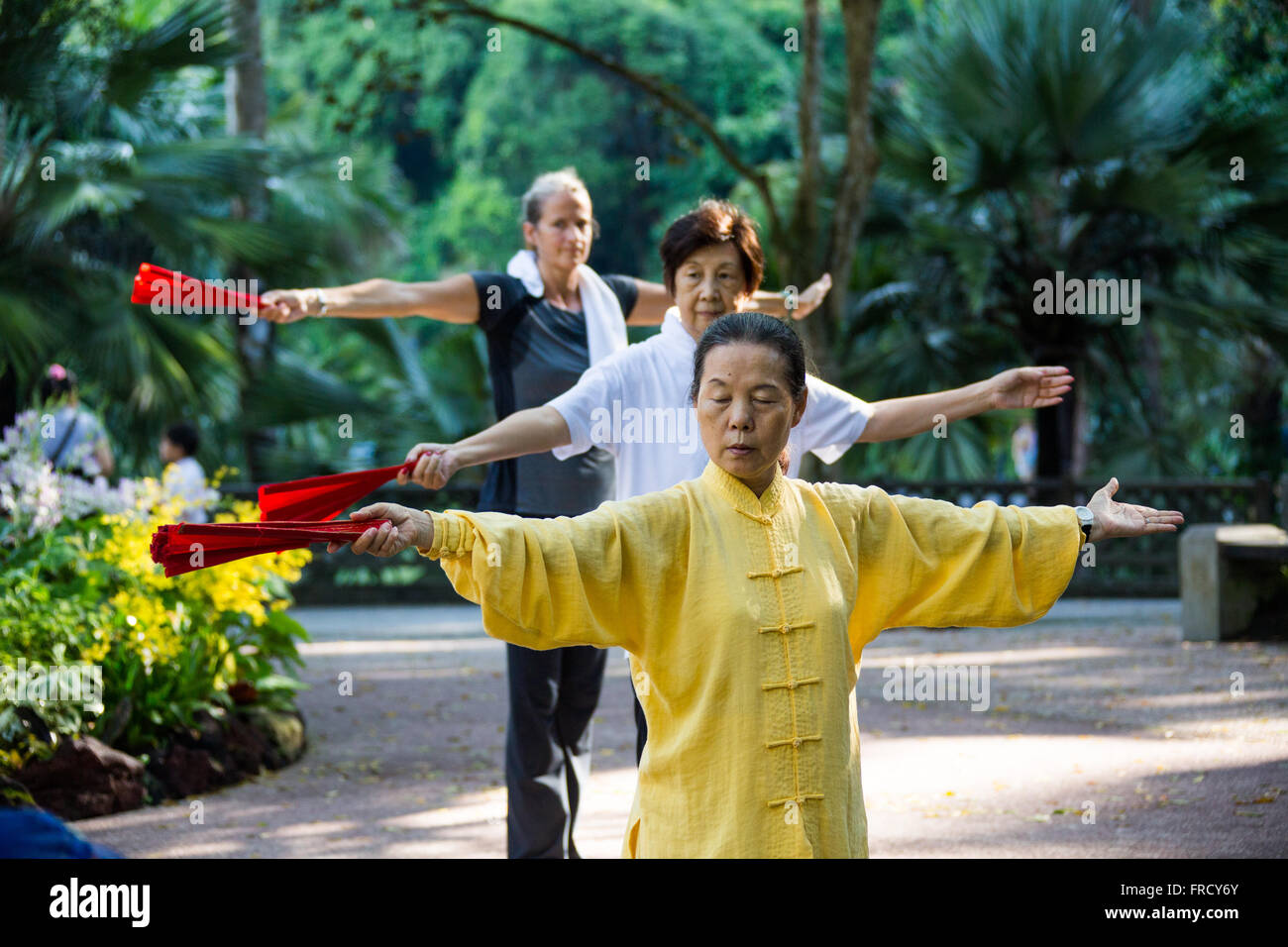Tai Chi in den botanischen Gärten in Singapur Stockfoto