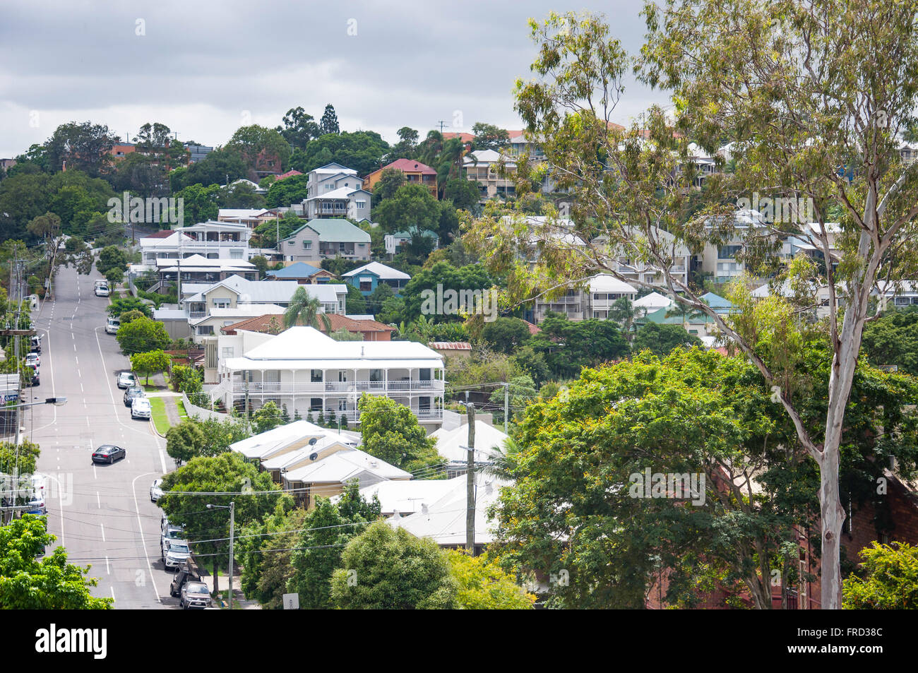 Häuser am Great George Street im Stadtteil Paddington, Brisbane, Queensland, Australien Stockfoto