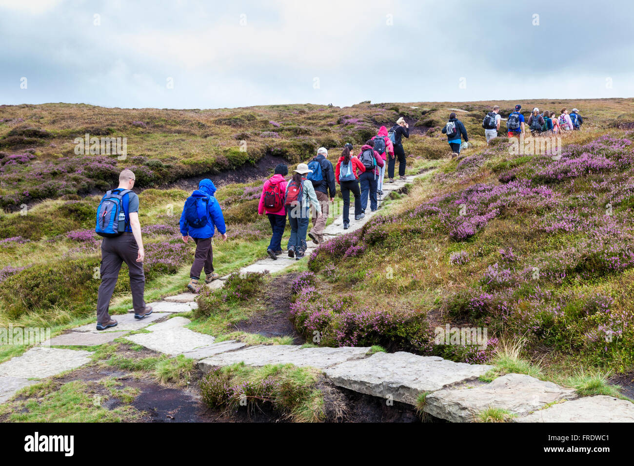 Eine große Wandergruppe zu Fuß auf einem Stein Weg über Moorland. Kinder Scout, Derbyshire, Peak District National Park, England, Vereinigtes Königreich Stockfoto