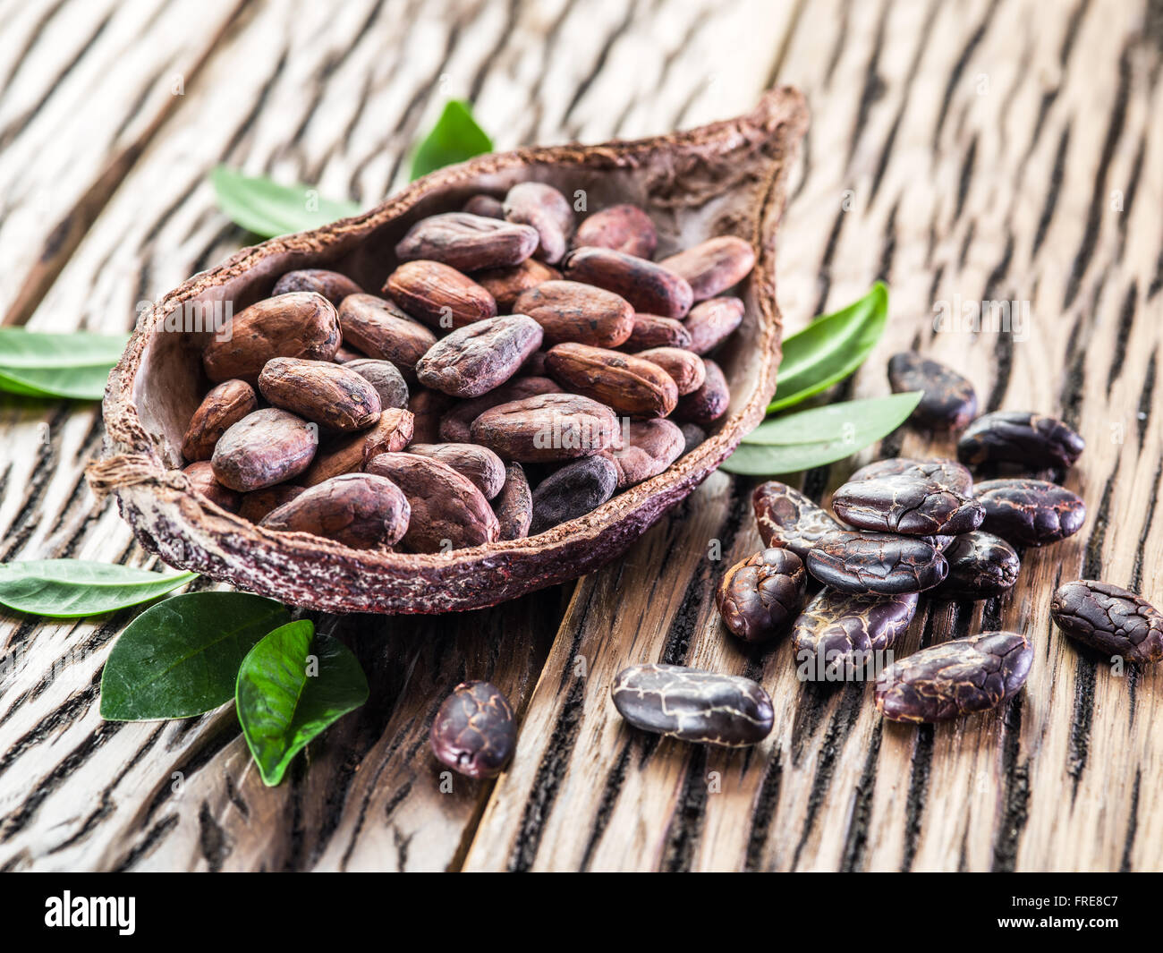 Kakaofrucht und Kakaobohnen auf dem Holztisch. Stockfoto