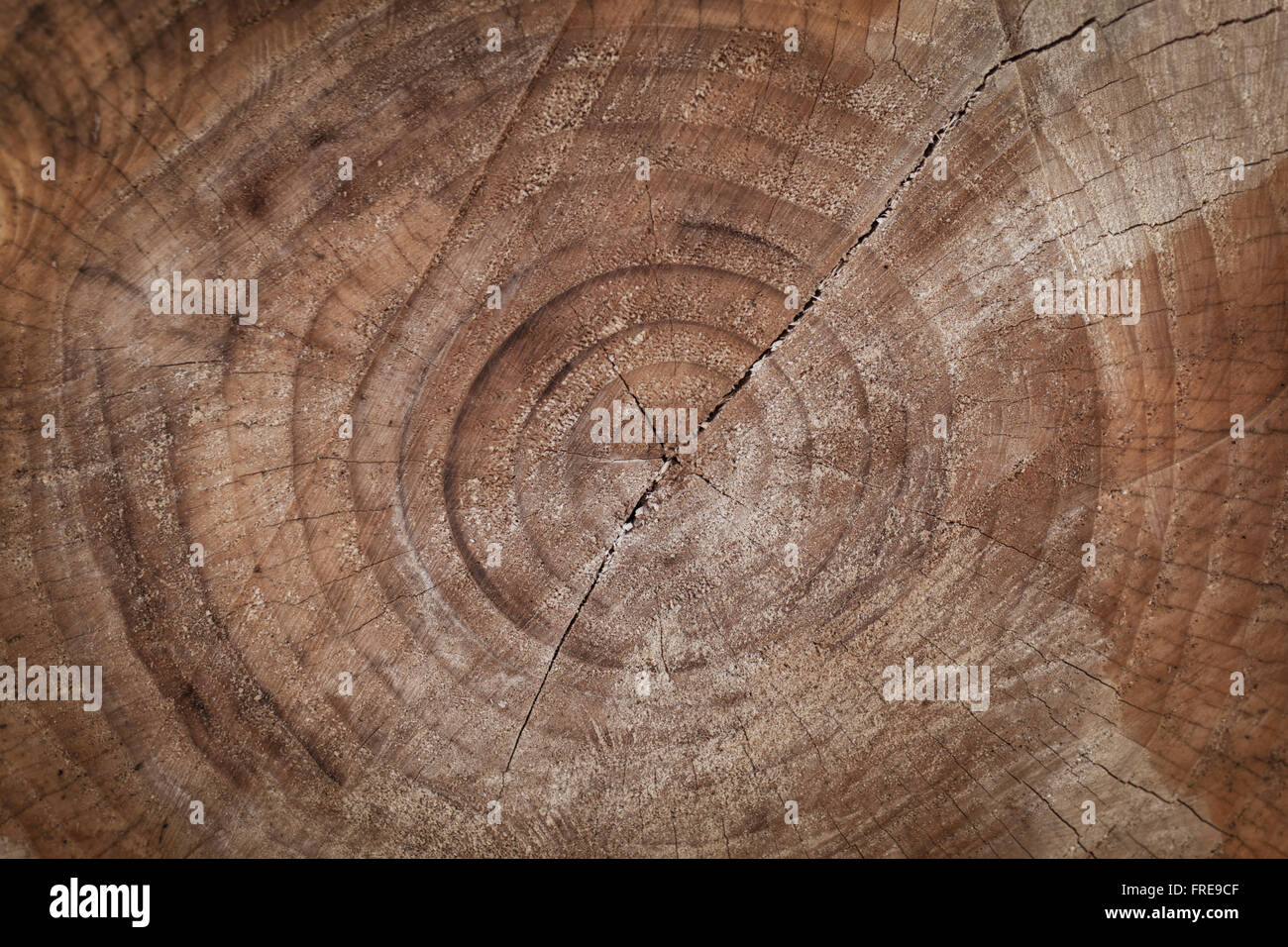 Braun Holzstruktur Hintergrund Stockfoto