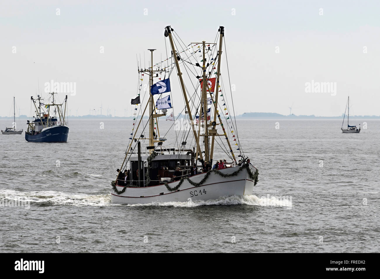 Festlich geschmückten Krabbenkutter, Hafenfest ein Hafen Büsum, Dithmarschen, Schleswig-Holstein, Deutschland Stockfoto