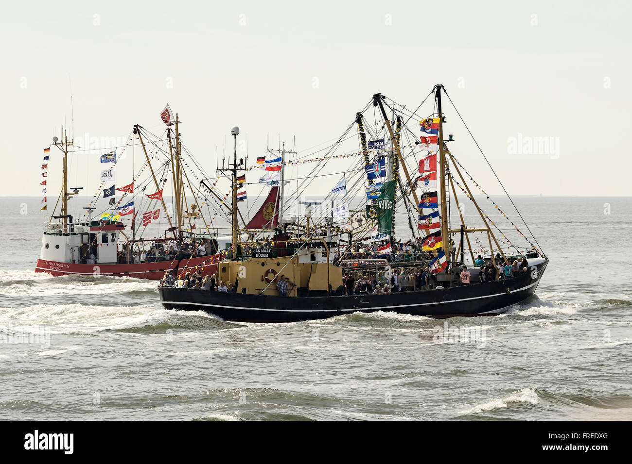 Festlich geschmückten Krabbenkutter, Hafenfest ein Hafen Büsum, Dithmarschen, Schleswig-Holstein, Deutschland Stockfoto
