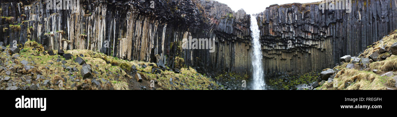 Svartifoss Wasserfall und Basalt Felsen, Island Stockfoto