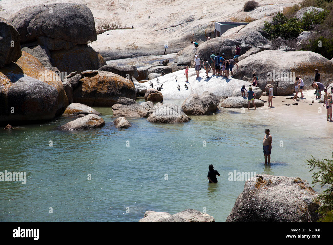 Besucher am Boulders Beach, th Pinguine in Western Cape - Südafrika zu besuchen Stockfoto