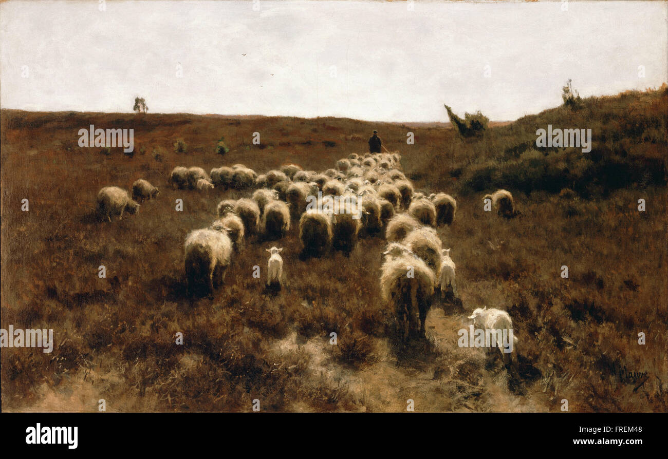 Anton Mauve - die Rückkehr der Herde, Laren Stockfoto