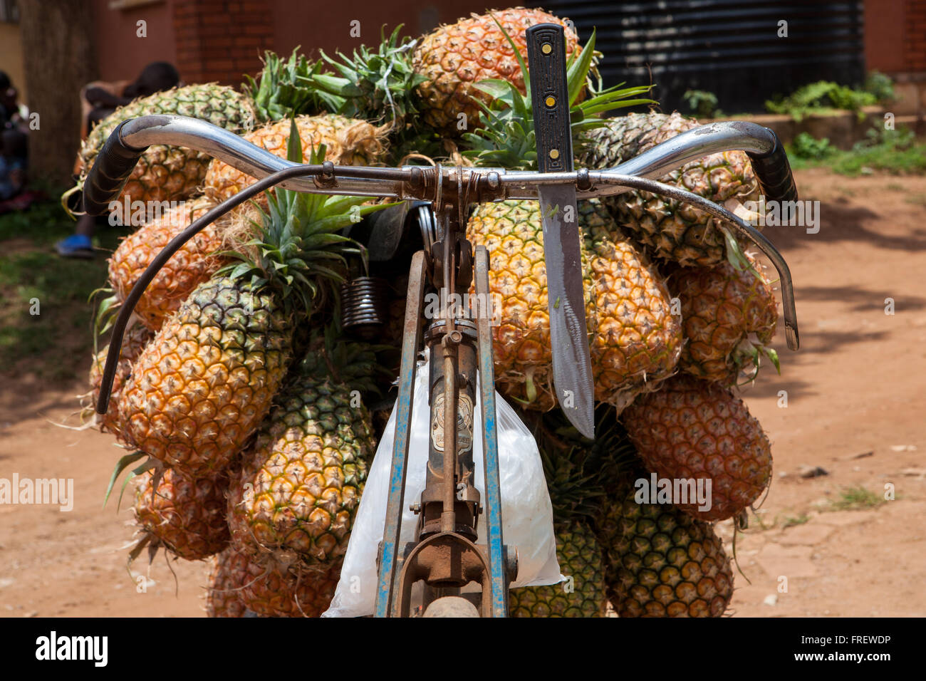 Ananas zum Verkauf von der Rückseite eines Fahrrades! Uganda, Afrika Stockfoto
