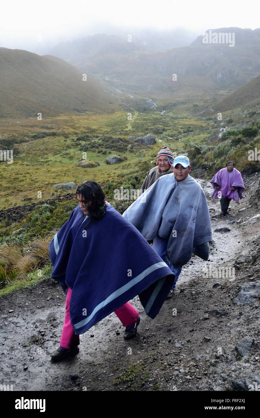 Weg zur Laguna Negra - "Las Huaringas" in HUANCABAMBA. Abteilung von Piura. Peru Stockfoto