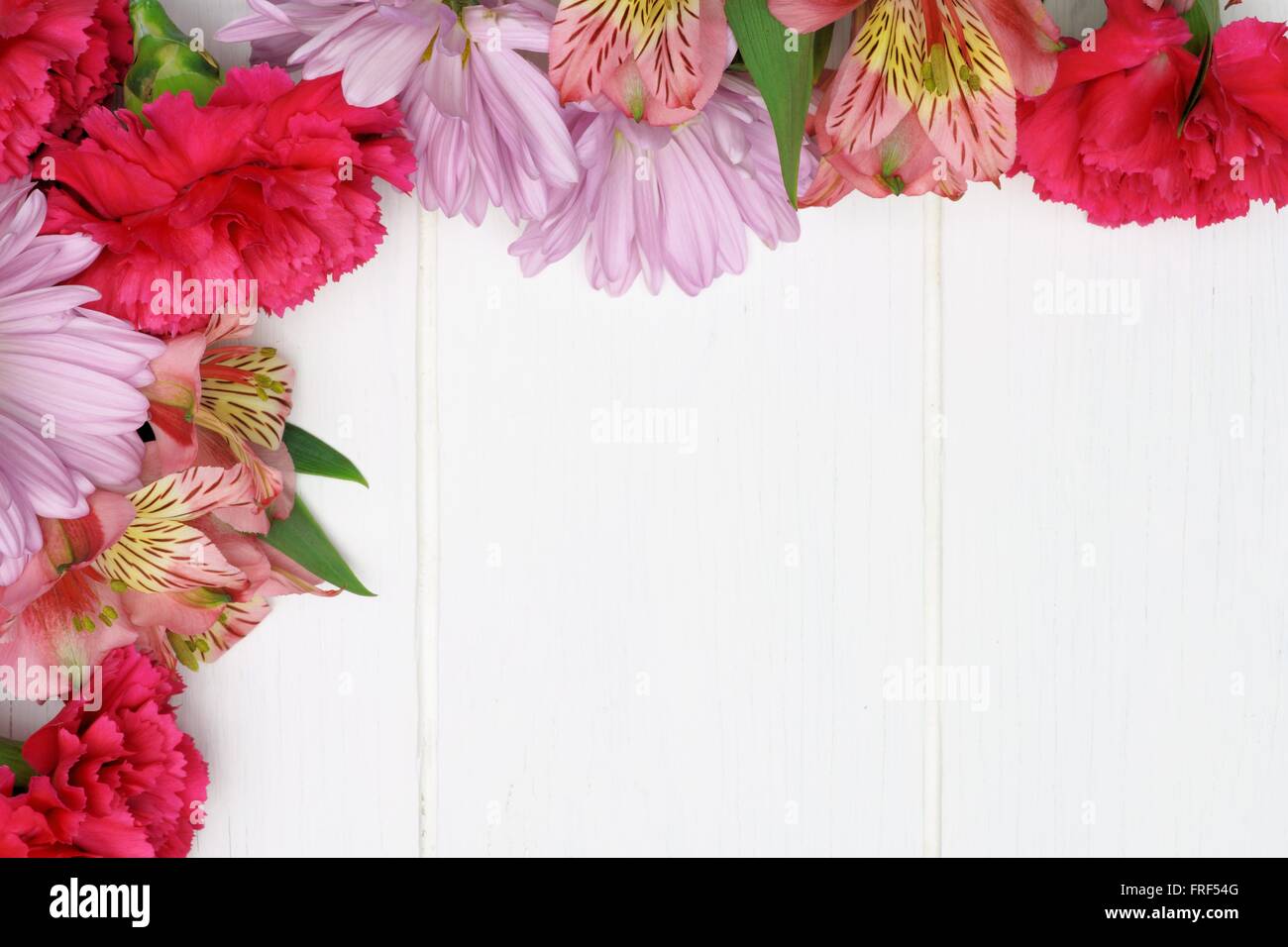 Ecke Grenze rosa Nelke, Daisy und Lily Blüten vor einem weißen Hintergrund Holz Stockfoto