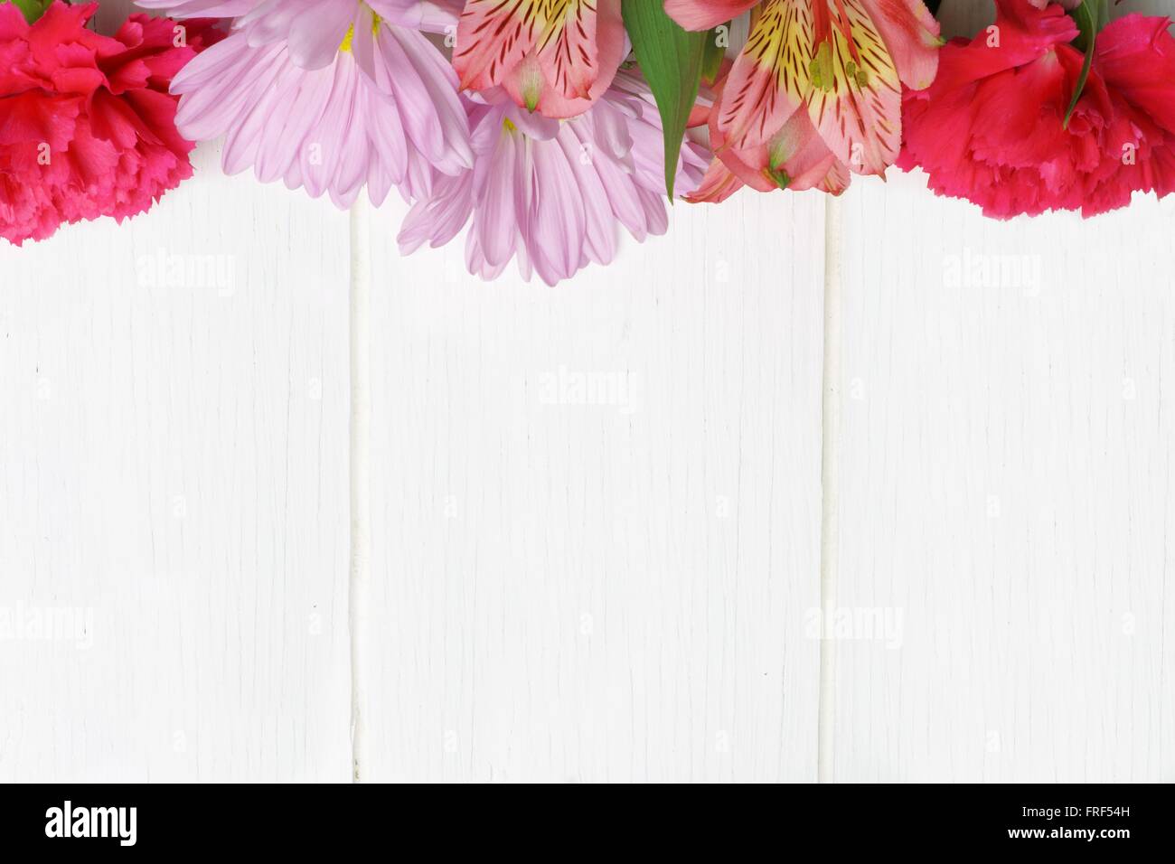 Oberen Rand des rosa Nelke, Daisy und Lily Blüten vor einem weißen Hintergrund Holz Stockfoto